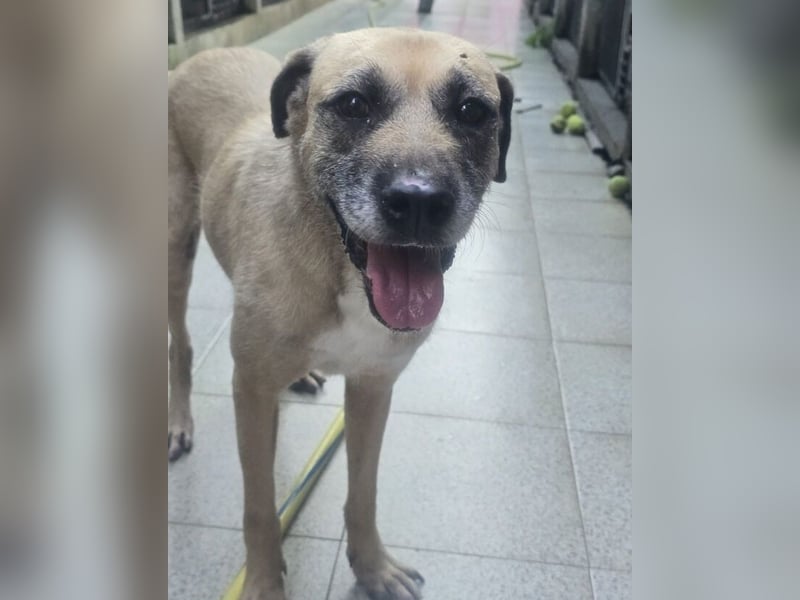 KIKA, wer ist ihre Rettung? KIKA, wer ist ihre Rettung?