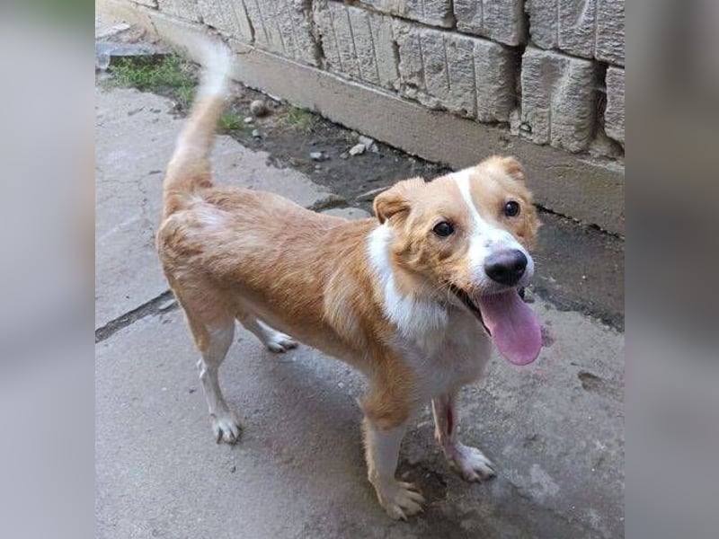 ALEX ist ein fescher Kerl ALEX ist ein fescher Kerl