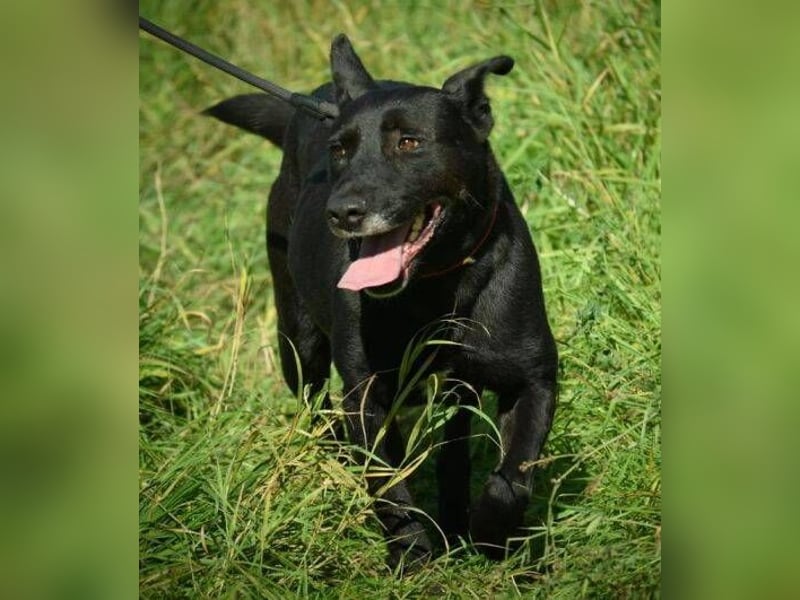 EBONY sehnt sich nach Geborgenheit EBONY sehnt sich nach Geborgenheit