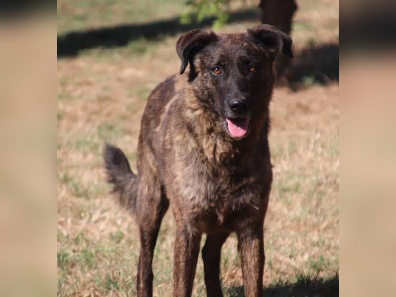 LUA ist sehr lieb und verträglich LUA ist sehr lieb und verträglich