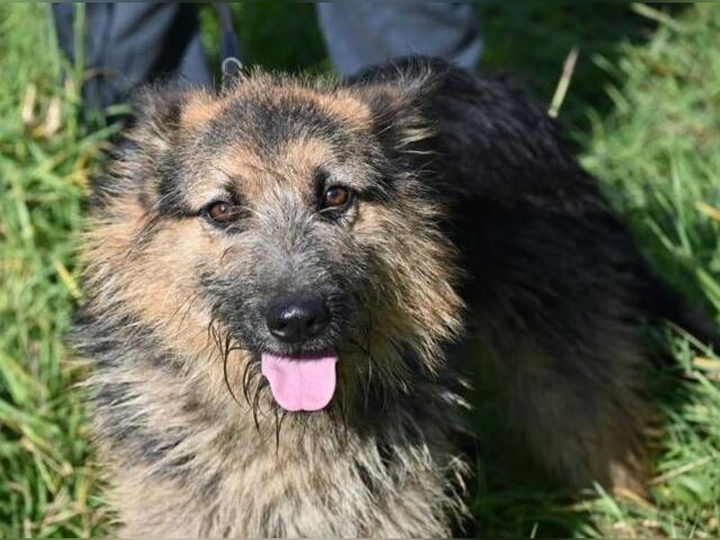 GASTON liebt Menschen über alles GASTON liebt Menschen über alles