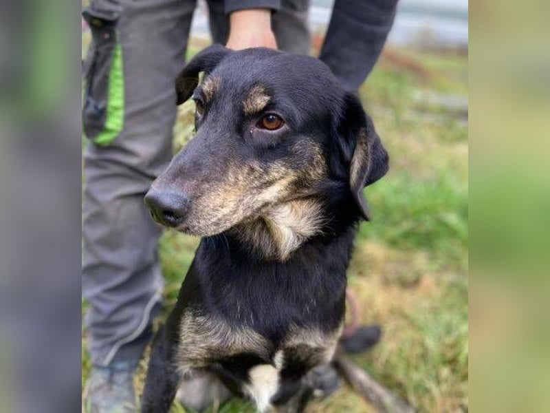 ARON irrte verloren umher ARON irrte verloren umher