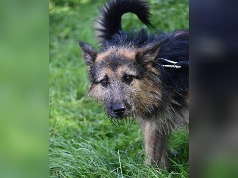 GASTON liebt Menschen über alles GASTON liebt Menschen über alles