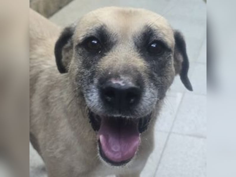 KIKA, wer ist ihre Rettung? KIKA, wer ist ihre Rettung?