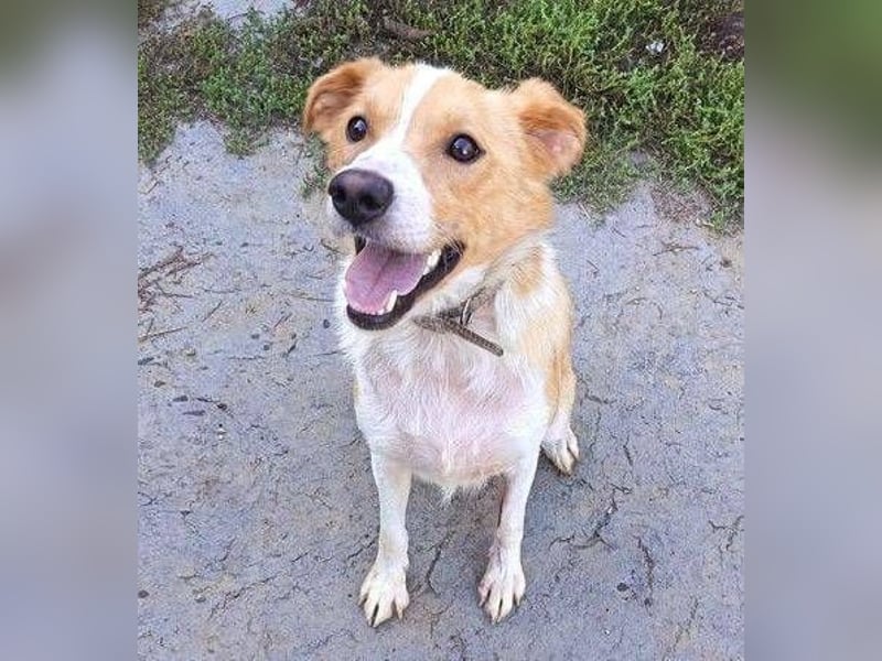 ALEX ist ein fescher Kerl ALEX ist ein fescher Kerl