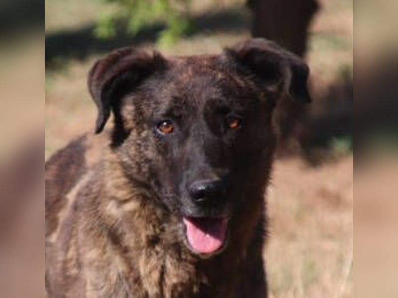 LUA ist sehr lieb und verträglich LUA ist sehr lieb und verträglich