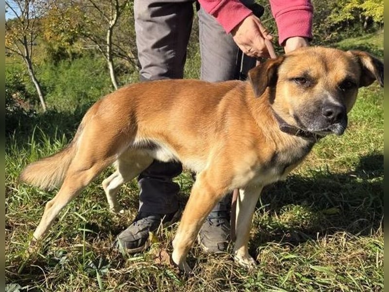 BONNY wurde herzlos zurück gelassen