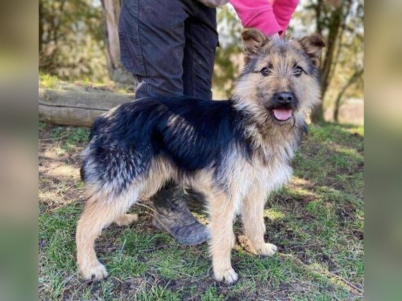 GASTON liebt Menschen über alles GASTON liebt Menschen über alles
