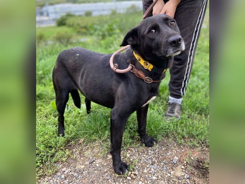 EBONY sehnt sich nach Geborgenheit EBONY sehnt sich nach Geborgenheit