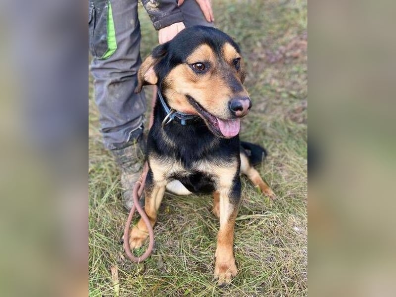 LARRY sucht seine Herzensmenschen LARRY sucht seine Herzensmenschen