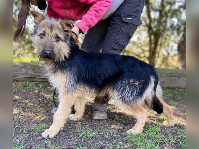 GASTON liebt Menschen über alles GASTON liebt Menschen über alles