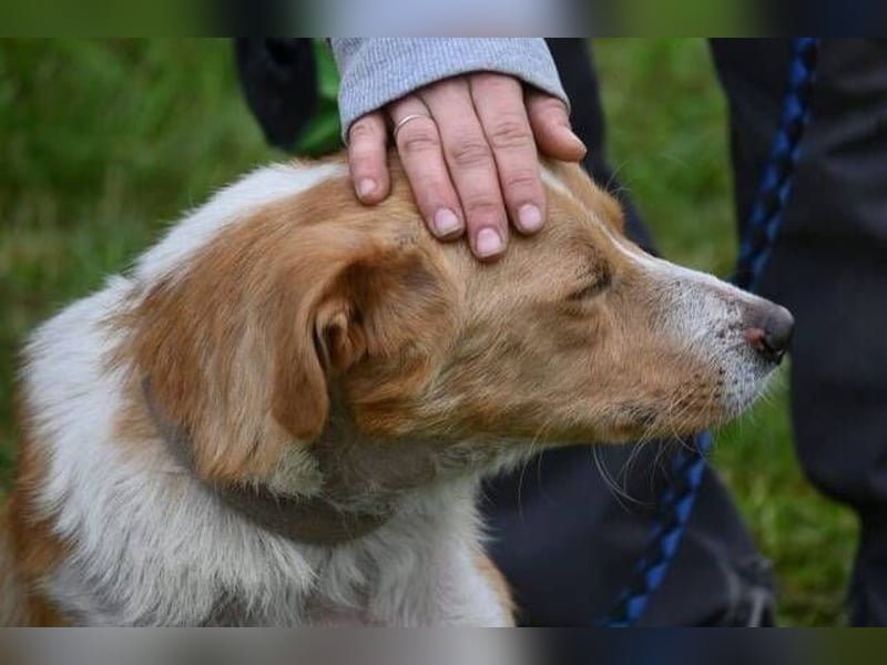 ALEX ist ein fescher Kerl ALEX ist ein fescher Kerl