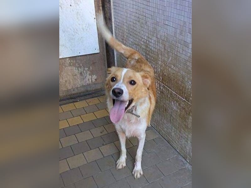 ALEX ist ein fescher Kerl ALEX ist ein fescher Kerl