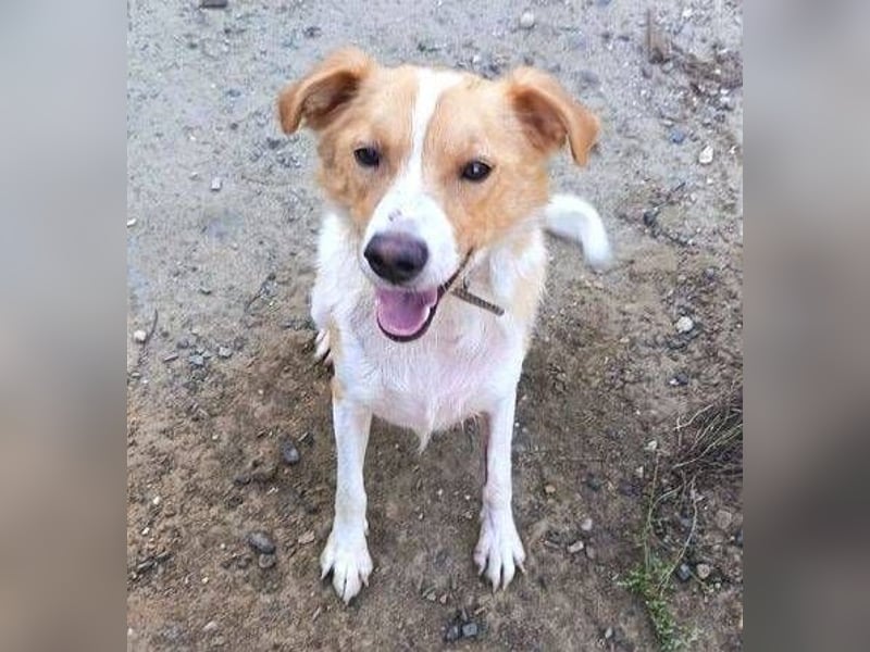 ALEX ist ein fescher Kerl ALEX ist ein fescher Kerl