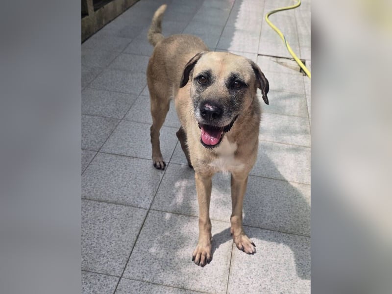 KIKA, wer ist ihre Rettung? KIKA, wer ist ihre Rettung?