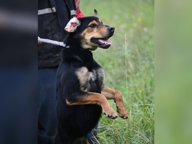 LARRY sucht seine Herzensmenschen LARRY sucht seine Herzensmenschen