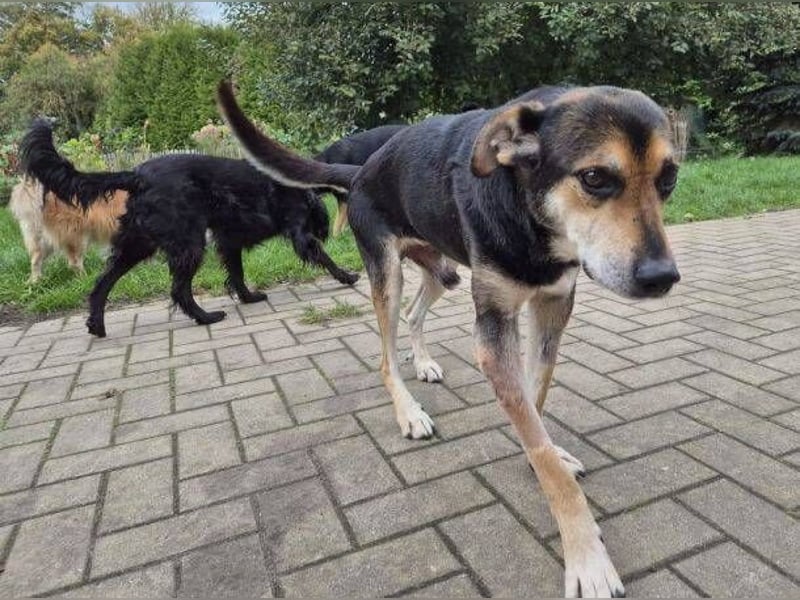SPIKE wurde im Stich gelassen