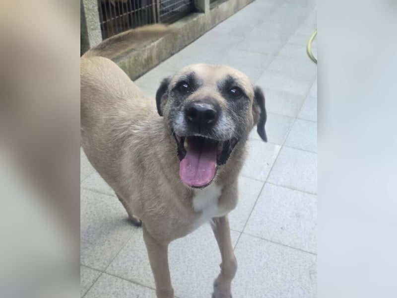 KIKA, wer ist ihre Rettung? KIKA, wer ist ihre Rettung?