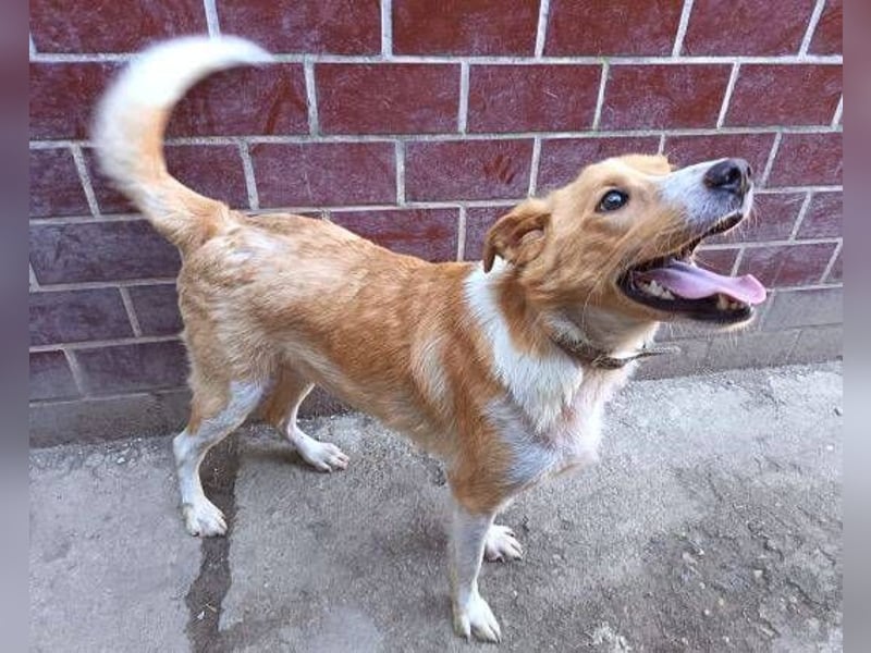 ALEX ist ein fescher Kerl ALEX ist ein fescher Kerl