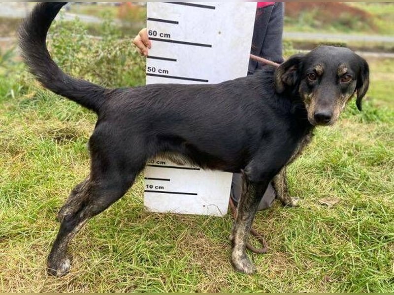 ARON irrte verloren umher ARON irrte verloren umher