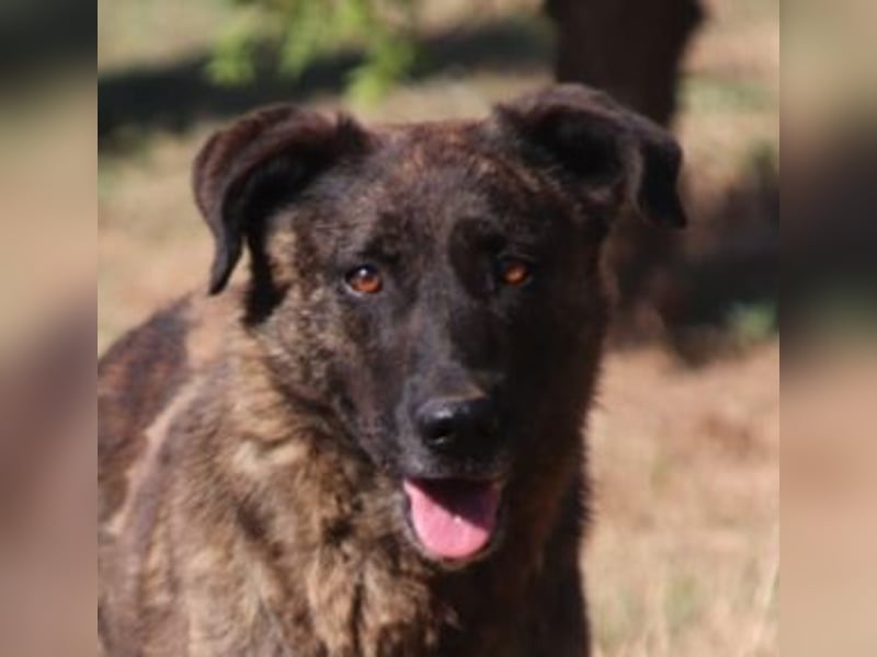 LUA ist sehr lieb und verträglich LUA ist sehr lieb und verträglich