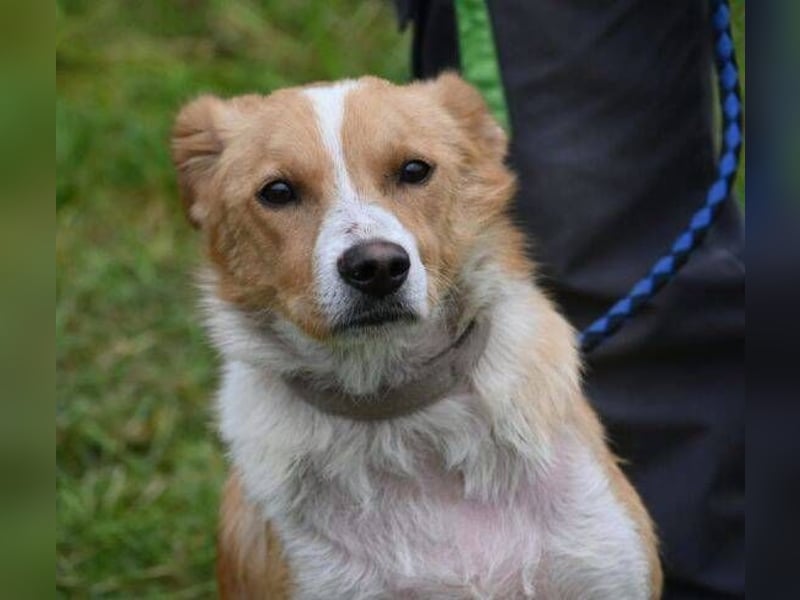 ALEX ist ein fescher Kerl ALEX ist ein fescher Kerl