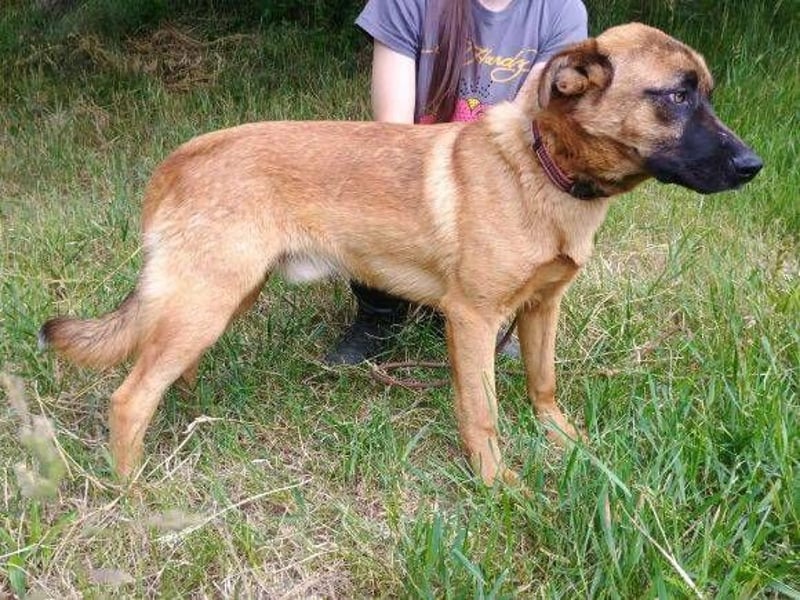 ARTHUR 2 sucht sein Zuhause