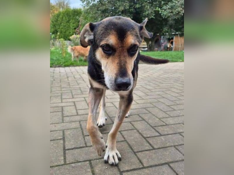 SPIKE wurde im Stich gelassen
