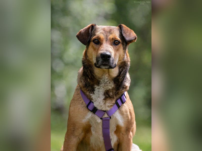 Soziale Rita sucht liebevolles Zuhause