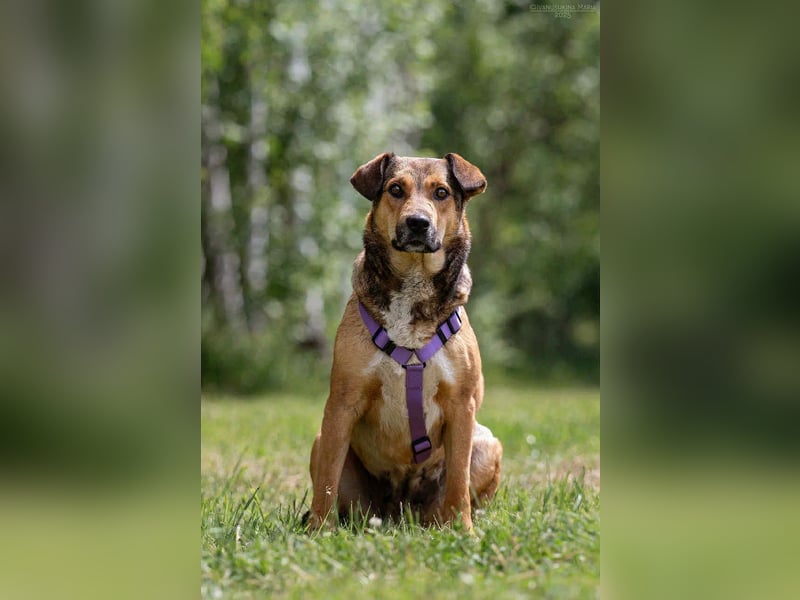 Soziale Rita sucht liebevolles Zuhause