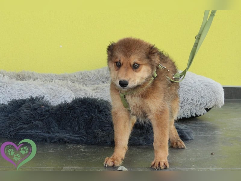 Knut sucht sein Körbchen....