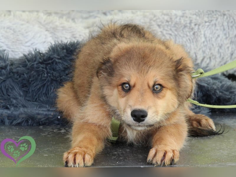 Knut sucht sein Körbchen....