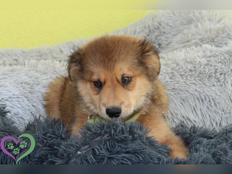 Knut sucht sein Körbchen....