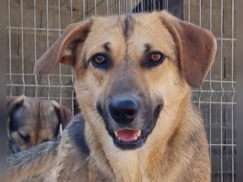 Bezaubernde Sersi wartet auf dich! Bezaubernde Sersi wartet auf dich!