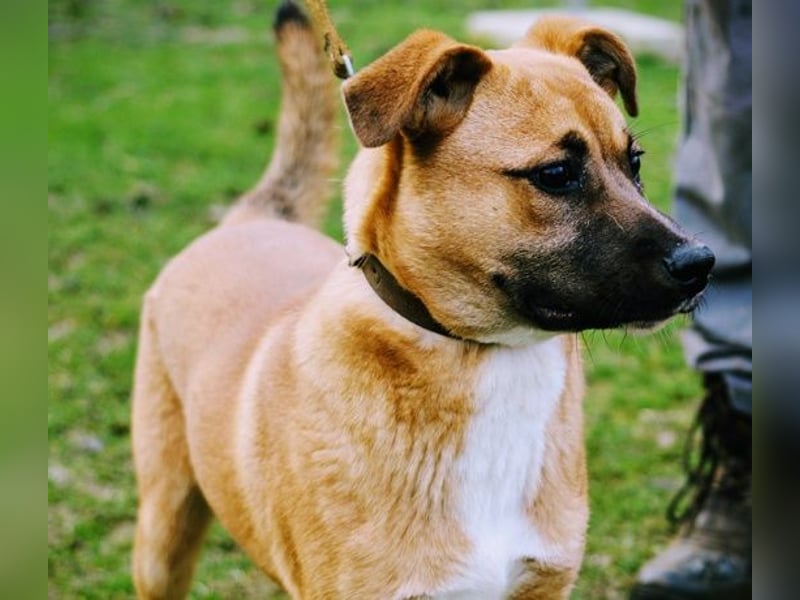 Teddy  wartet schon so lange!