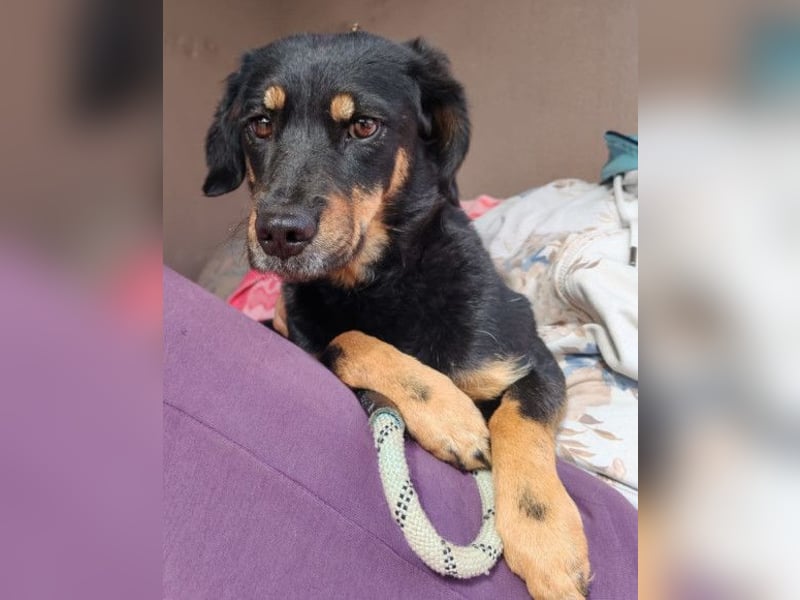 MALENA❤️sanfte, gehorsame Seele auf der Suche nach Geborgenheit MALENA❤️sanfte, gehorsame Seele auf der Suche nach Geborgenheit