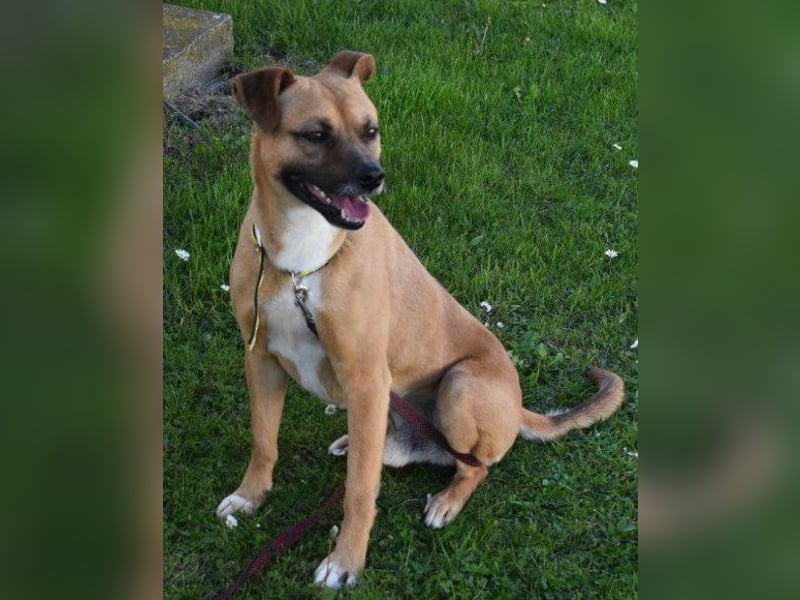 Teddy  wartet schon so lange! Teddy  wartet schon so lange!