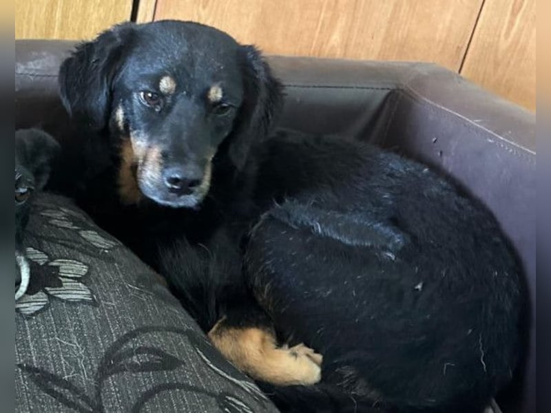 MALENA❤️sanfte, gehorsame Seele auf der Suche nach Geborgenheit MALENA❤️sanfte, gehorsame Seele auf der Suche nach Geborgenheit