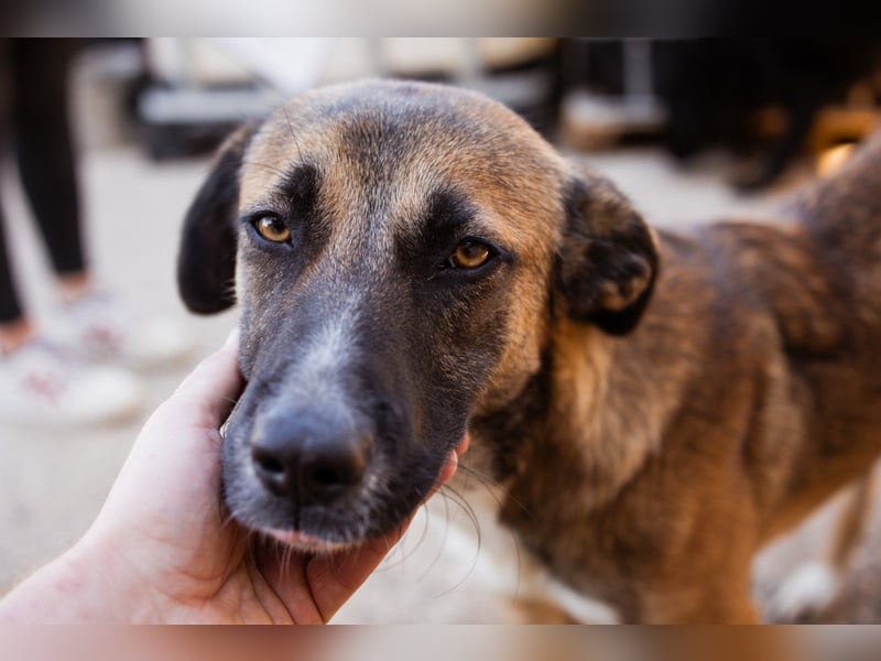 Liebste ♥ Lisa ♥ die pure Lebensfreude