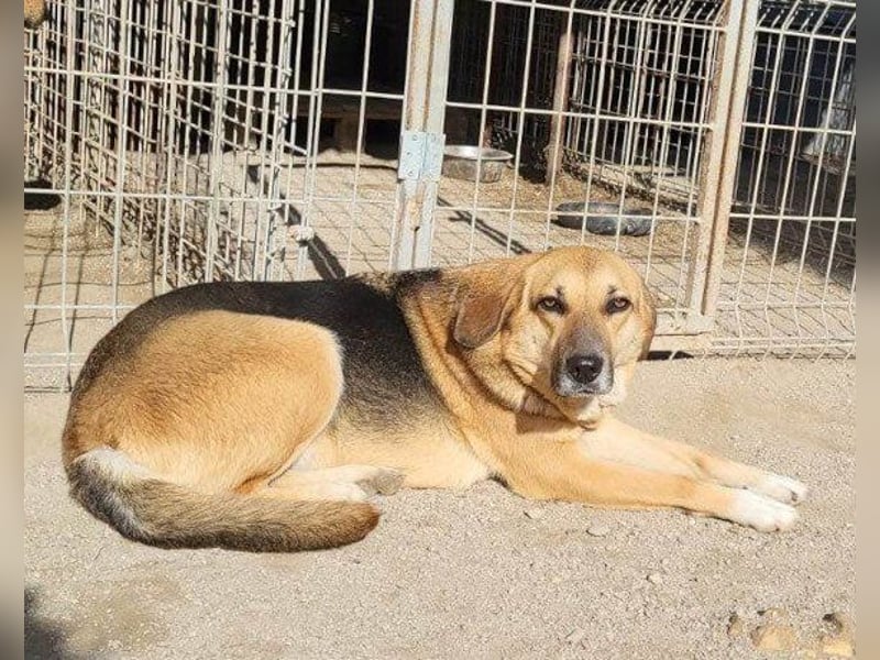 Bezaubernde Sersi wartet auf Dich!