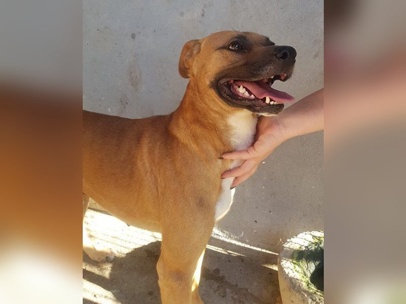 Teddy  wartet schon so lange!