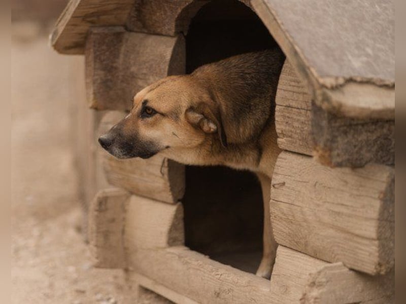 Bezaubernde Sersi wartet auf Dich!