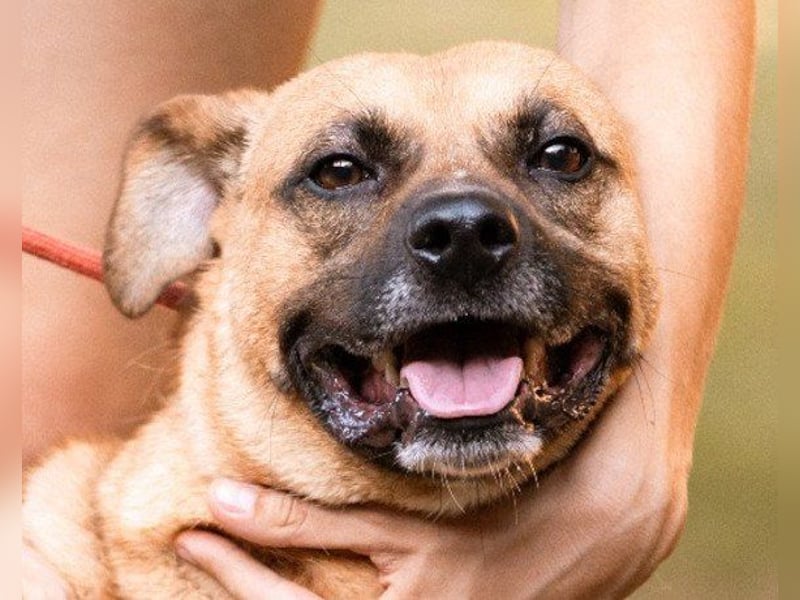 Teddy  wartet schon so lange! Teddy  wartet schon so lange!