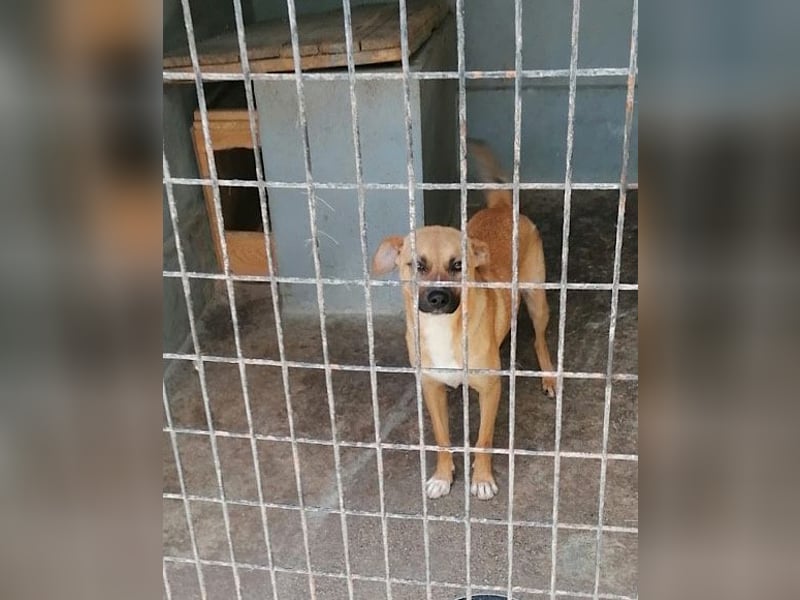 Teddy  wartet schon so lange!