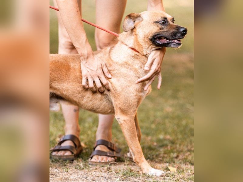 Teddy  wartet schon so lange!