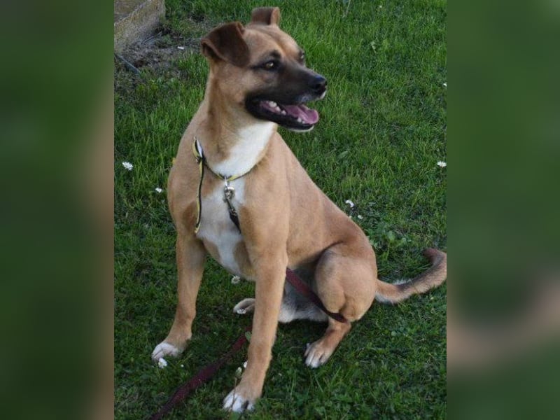 Teddy  wartet schon so lange!