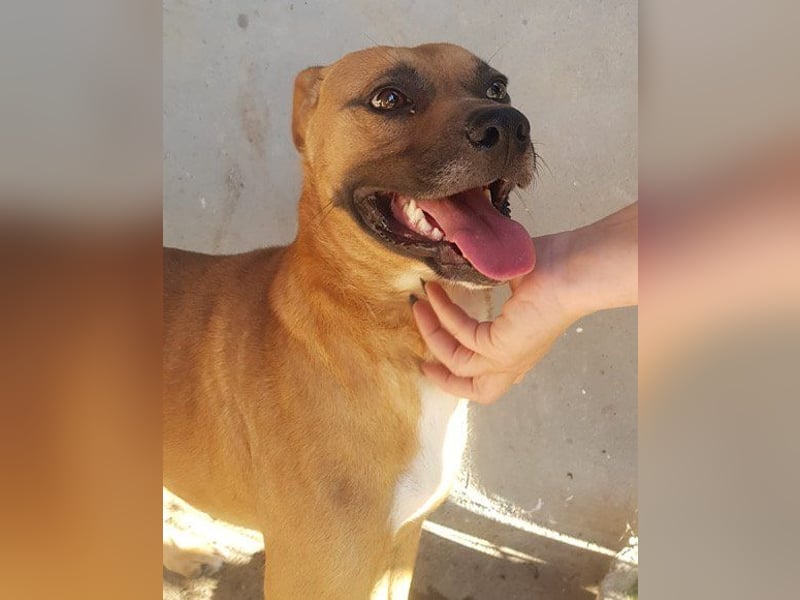 Teddy  wartet schon so lange! Teddy  wartet schon so lange!