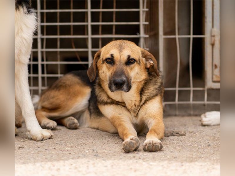 Bezaubernde Sersi wartet auf dich! Bezaubernde Sersi wartet auf dich!