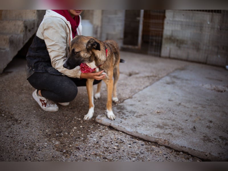 Liebste ♥ Lisa ♥ die pure Lebensfreude