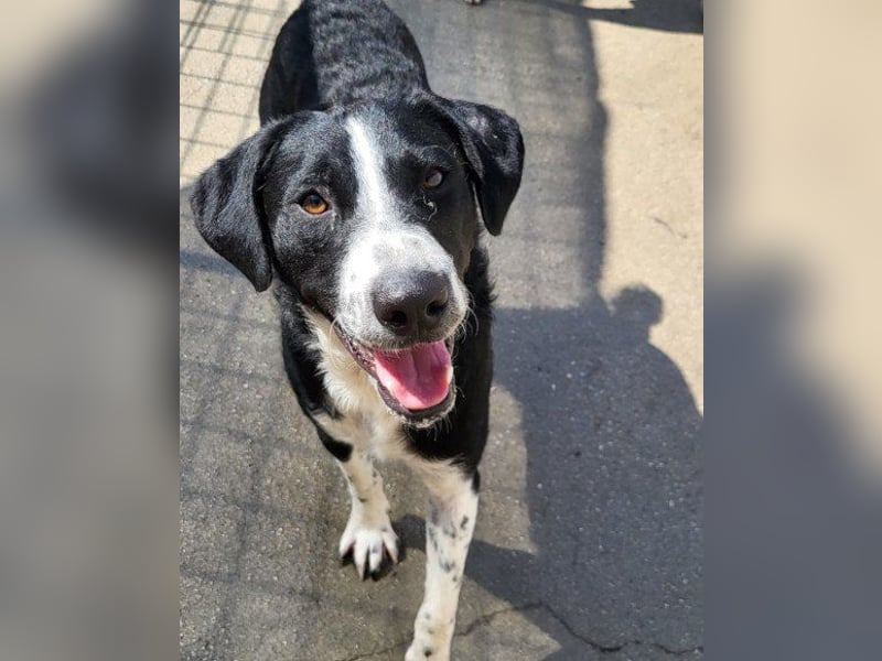 Rüdenbub ♥Vince♥ unser kleiner Prinz ♥